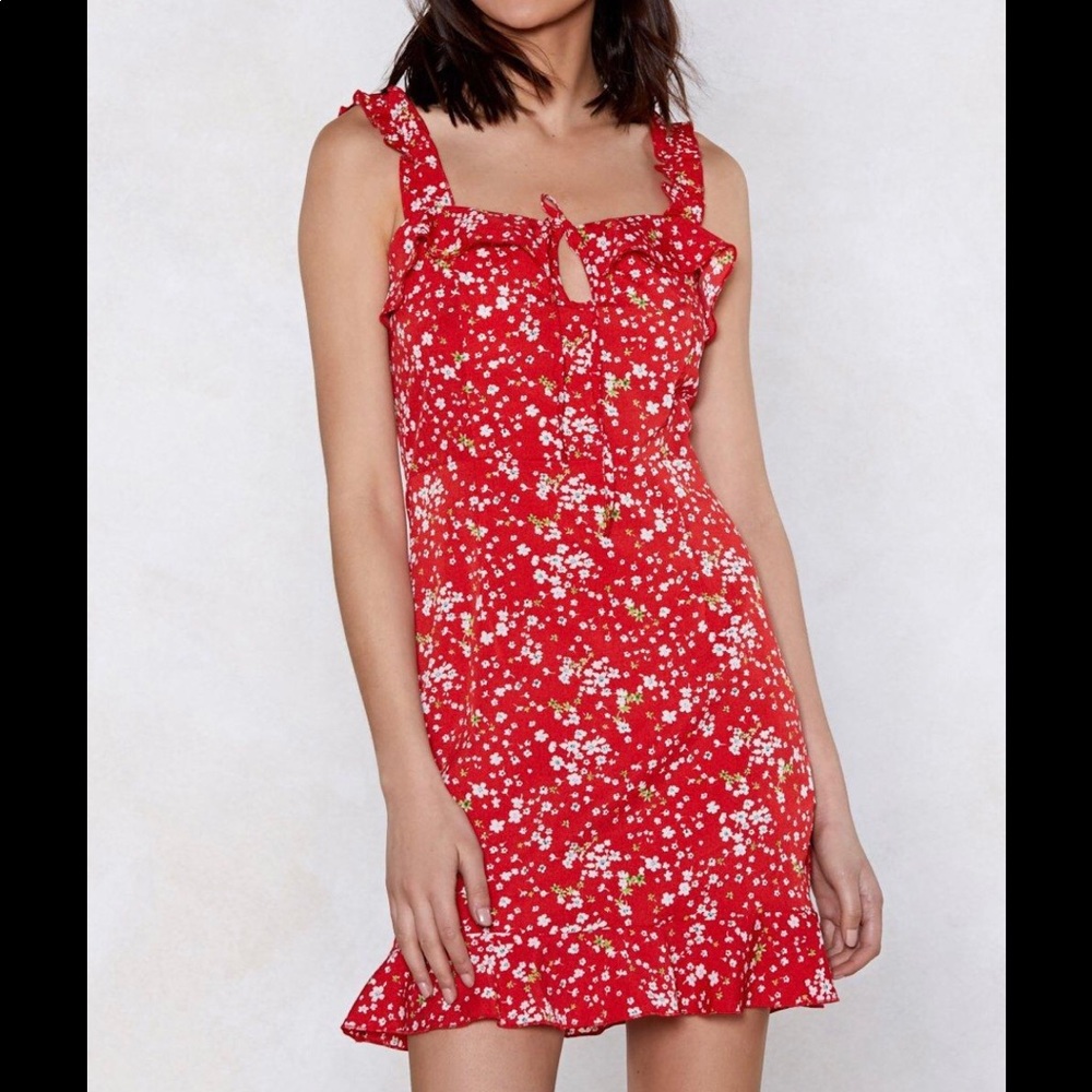 Nasty Gal Red Floral Mini Dress